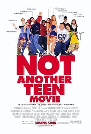 Not Another Teen Movie poster
