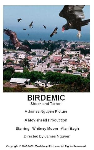 Birdemic: Shock and Terror poster