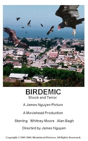 Birdemic: Shock and Terror poster